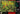 Main Image | Secret of Mana Super Nintendo