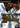 Main Image | Duel Masters Playstation 2