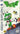 Main Image | Bug Sega Saturn