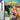 Main Image | Paws & Claws Pet Resort GameBoy Advance