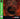 Main Image | Mortal Kombat Trilogy [Greatest Hits] Playstation