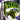 Main Image | The Incredible Hulk GameBoy Advance