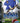 Main Image | Sonic the Hedgehog Playstation 3