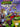 Main Image | Teenage Mutant Ninja Turtles III The Manhattan Project NES