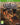 Railway Empire PAL