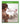 Main Image | Syberia 3 Xbox One