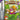 Main Image | Wario Land 4 GameBoy Advance