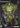 Main Image | Gauntlet Dark Legacy Playstation 2