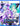 Main Image | Neptunia re*Verse Playstation 5