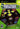 Main Image | Midway Arcade Treasures 2 Xbox