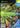 Main Image | Exhibition Volume 4 Xbox