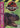 Main Image | Lost World Jurassic Park Sega Game Gear