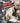 Main Image | UFC 2009 Undisputed [George St-Pierre Cover] Playstation 3