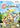 Main Image | Octomania Wii