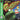 Main Image | Frogger [Greatest Hits] Playstation