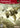 Ace Combat 5 Unsung War [Greatest Hits]