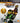Ratchet & Clank Collection [Not for Resale]