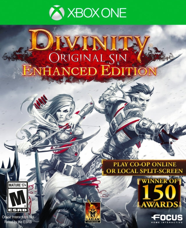 Divinity: Original Sin [Enhanced Edition]