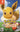 Pokemon Let's Go Eevee