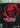 Gears of War [Limited Edition]