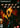 Ghost Rider