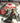 Dead Island [Game of the Year]