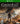 GreedFall