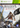 Assassin's Creed IV: Black Flag [Special Edition]