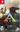 Ark Survival Evolved