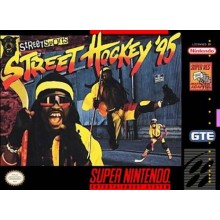 Street Hockey '95