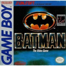 Batman the Video Game